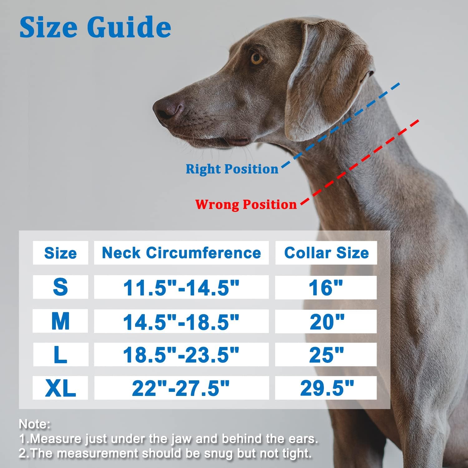 Mayerzon Collar de perro sin tirones, collar de martingala para perros pequeños, medianos y grandes, collar antitirones con hebilla y nailon