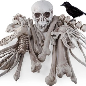 Decoraciones de Halloween 28 piezas de huesos de esqueleto y calavera con cuervo para decoración al aire libre, aterradores rompedores para Decoraciones de Halloween 28 piezas de huesos de esqueleto y calavera con cuervo para decoración al aire libre, aterradores rompedores para