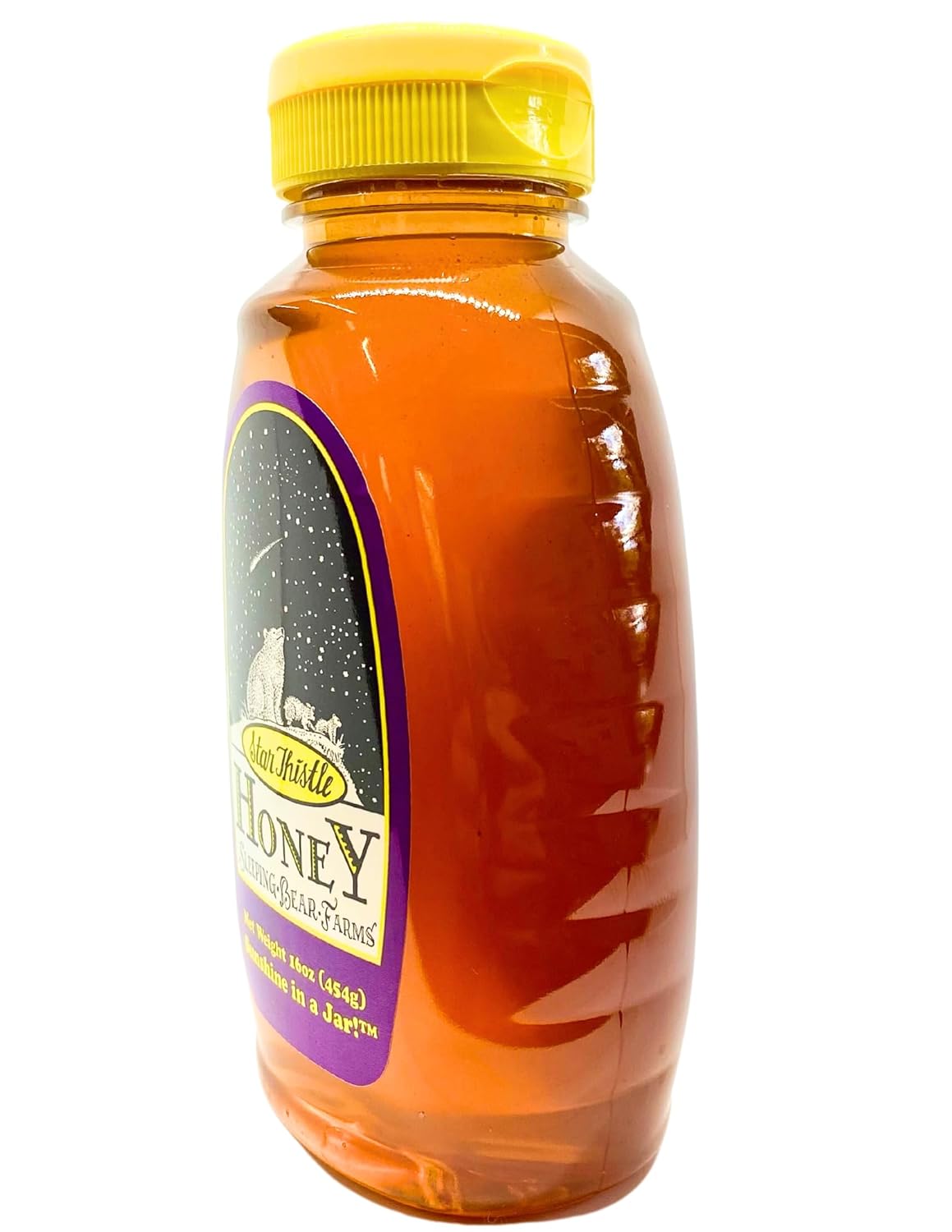 Miel de cardo estrellado, botella de 16 onzas, sin pasteurizar, sin mezclar, sin aditivos, miel de Michigan pura