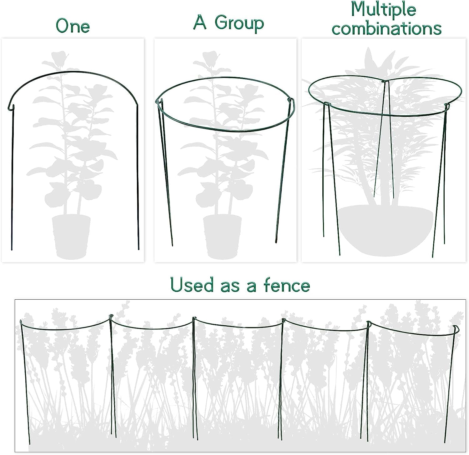 Paquete de 10 estacas de soporte para plantas, jaulas y soportes de peonía de metal de 10 pulgadas de ancho x 24 pulgadas de alto, estacas para