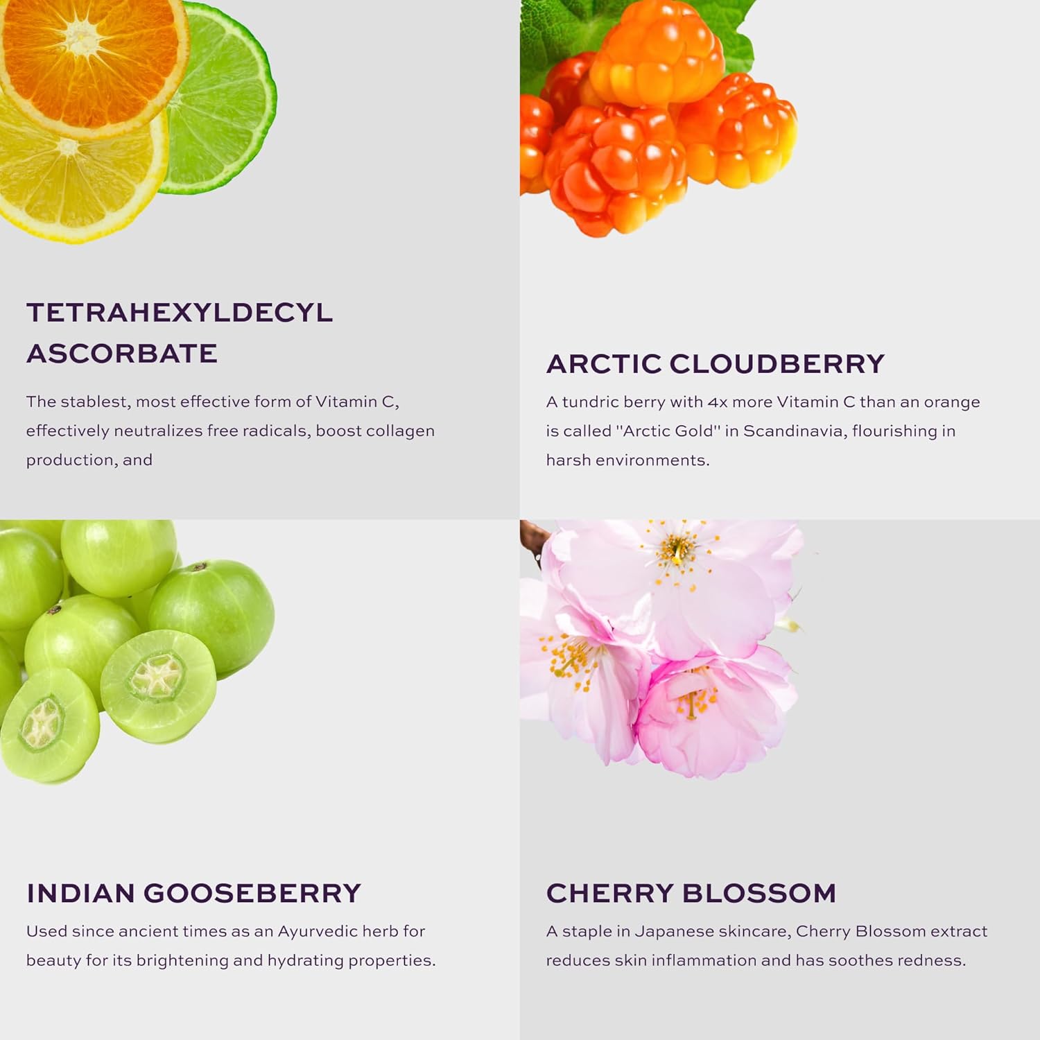 KNOW Beauty Arctic Gold – Máscara de vitamina C  Ilumina la piel opaca, elimina las manchas oscuras y la pigmentación, revierte el daño solar,