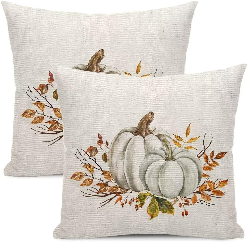 Juego de 2 fundas de almohada de otoño de 18 x 18 pulgadas, calabazas blancas y grises, flores naranjas, fundas de almohada de cosecha de Acción de