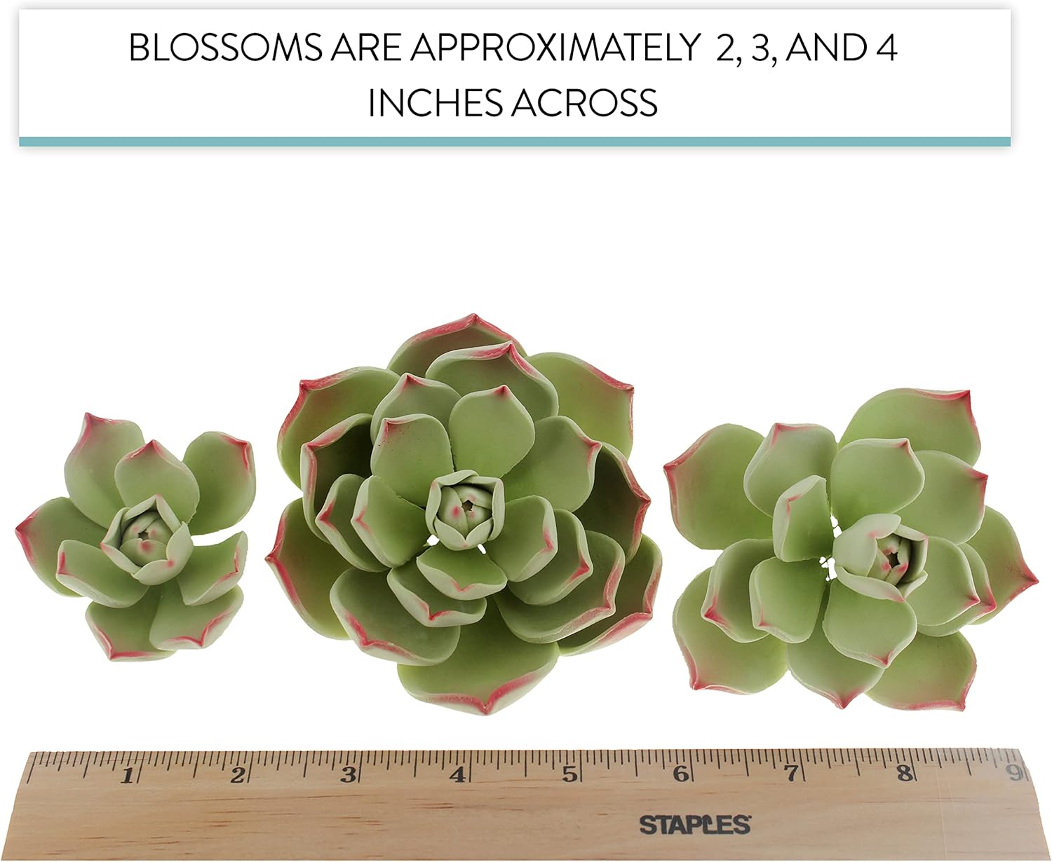 Global Sugart Art Succulents Parva Surtido de flores de pastel de azúcar, 3 unidades por el chef Alan Tetreault