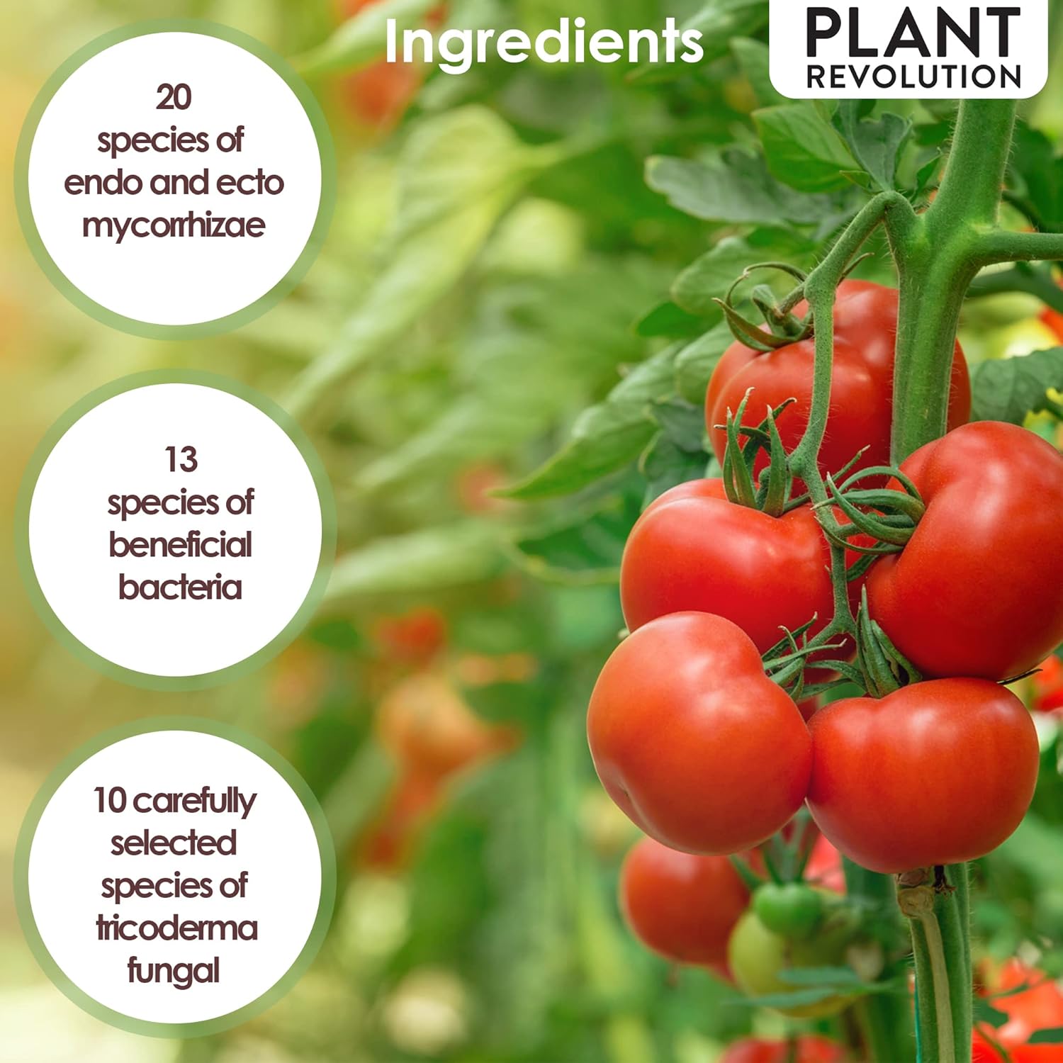 Micorrizas granulares Organics 1 lb