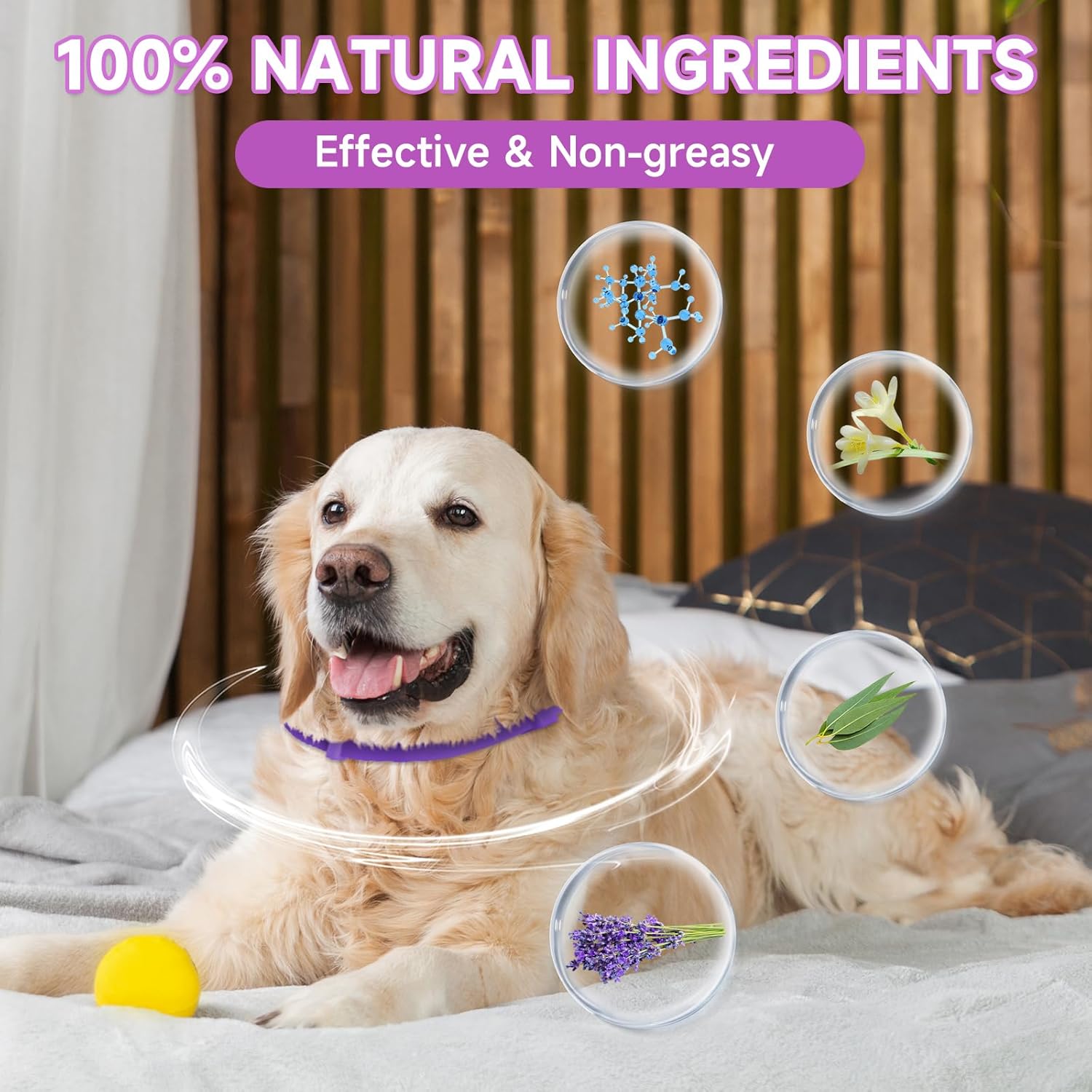 Paquete de 4 collares calmantes para perros, collar calmante para el alivio de la ansiedad por separación para perros, collar ajustable de 60 días