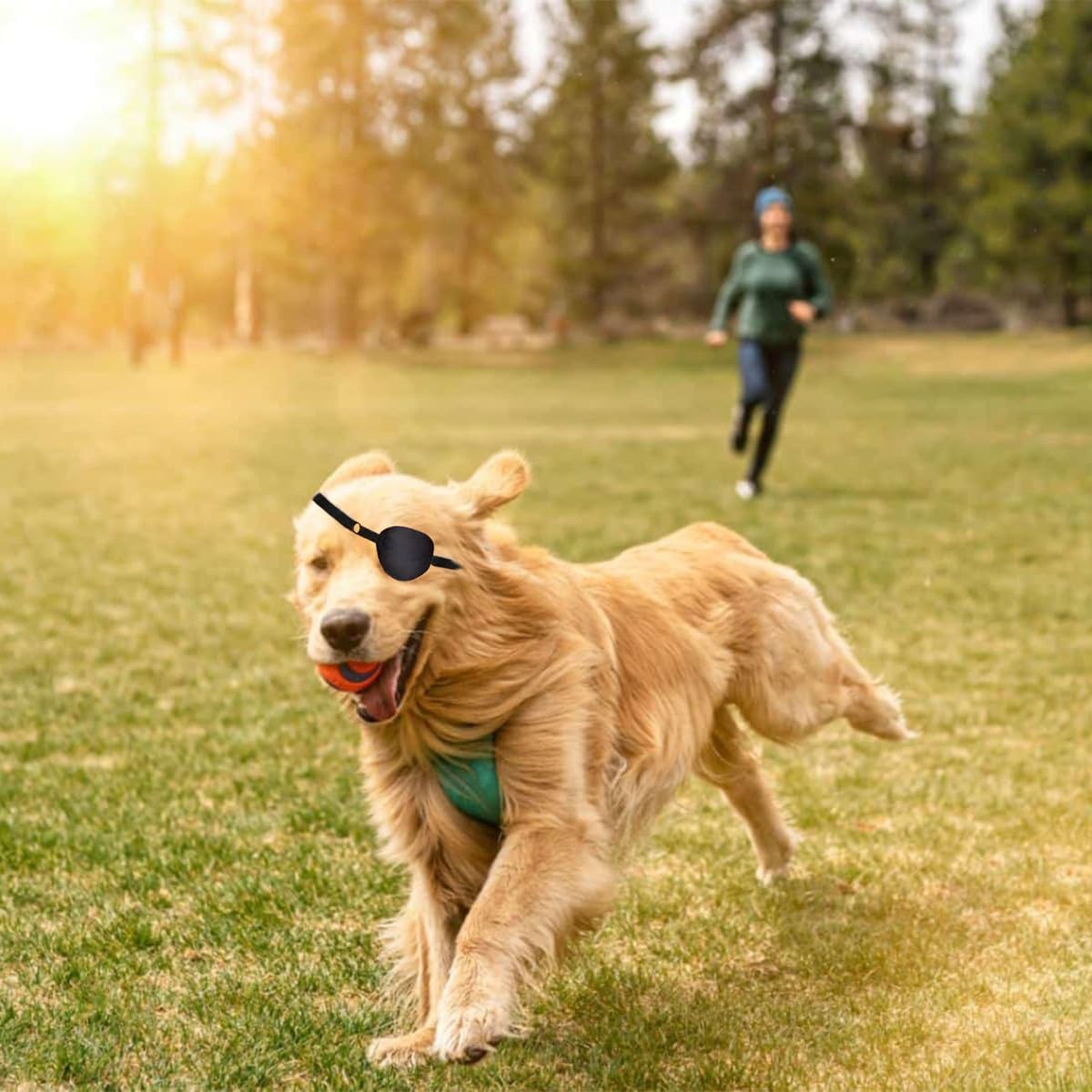 Parche para ojos de perro  Cubierta protectora de un solo parche para ojos para perros pequeños, medianos y grandes, gatos con lesiones en los ojos
