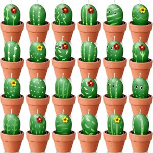 Shihanee Paquete de 24 velas suculentas de cactus a granel con maceta de terracota, arte novedoso, piedra suculenta y plantas de cactus, velas para Shihanee Paquete de 24 velas suculentas de cactus a granel con maceta de terracota, arte novedoso, piedra suculenta y plantas de cactus, velas para