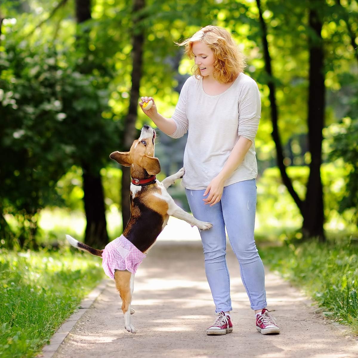 Pet Soft Pañales para perros femeninos  Pañales desechables para perros, pañales para gatos hembras, pañales para cachorros con orificio de cola de