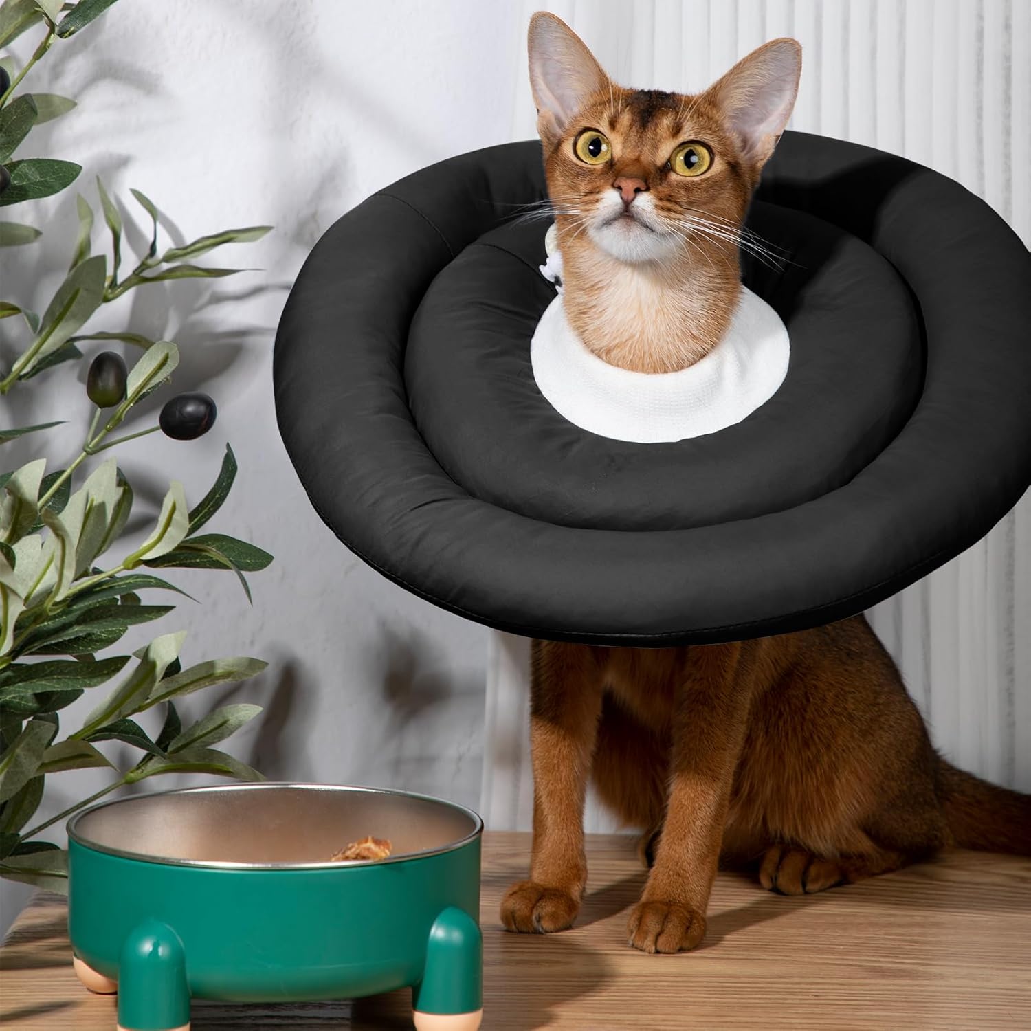 Conos para perros pequeños, cómodo y ajustable suave cono alternativo después de la cirugía, collar de dona isabelino para la recuperación de perros