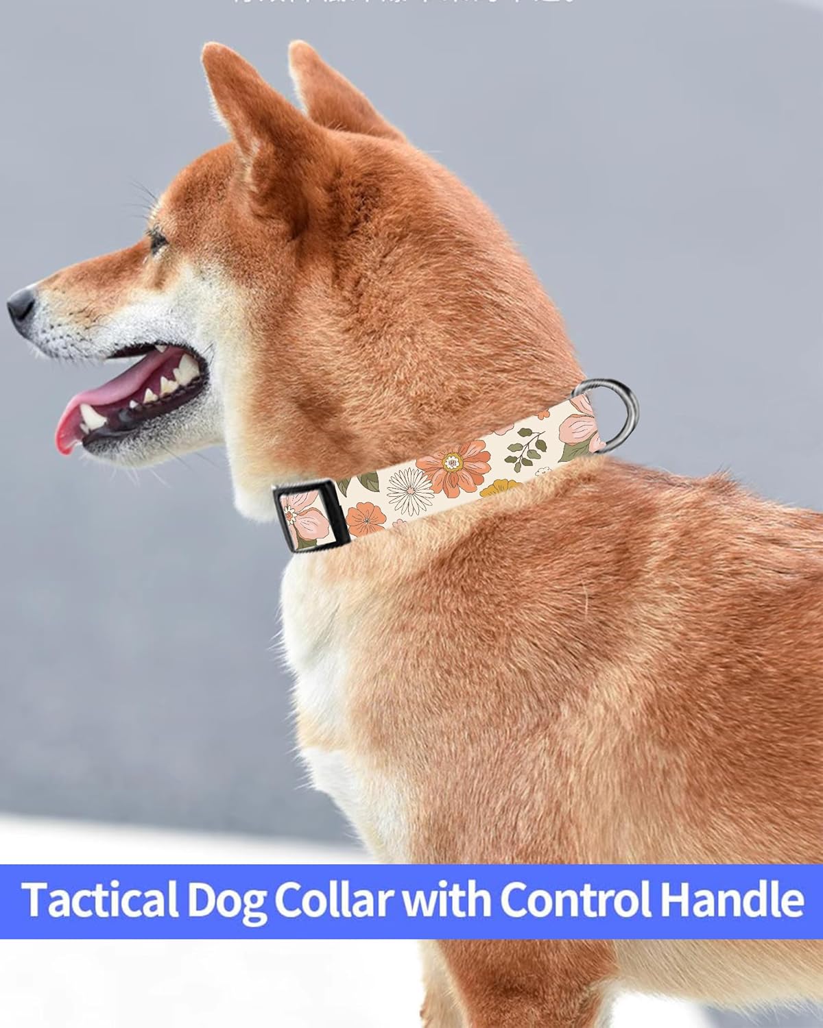 SXboxing Collar de perro, lindo collar de perro para perros pequeños, medianos y grandes, collares suaves personalizados ajustables para mascotas