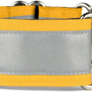 If It Barks – Collar Martingala reflectante de 1.5 pulgadas para perros – Ajustable – Fabricado en Estados Unidos – Fuerte, duradero y cómodo – If It Barks – Collar Martingala reflectante de 1.5 pulgadas para perros – Ajustable – Fabricado en Estados Unidos – Fuerte, duradero y cómodo –