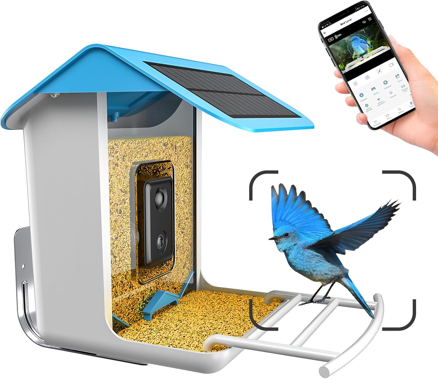 Comedero para pájaros con cámara, alimentador inteligente para pájaros con cámara, cámara de comedero de pájaros captura automática de pájaros y