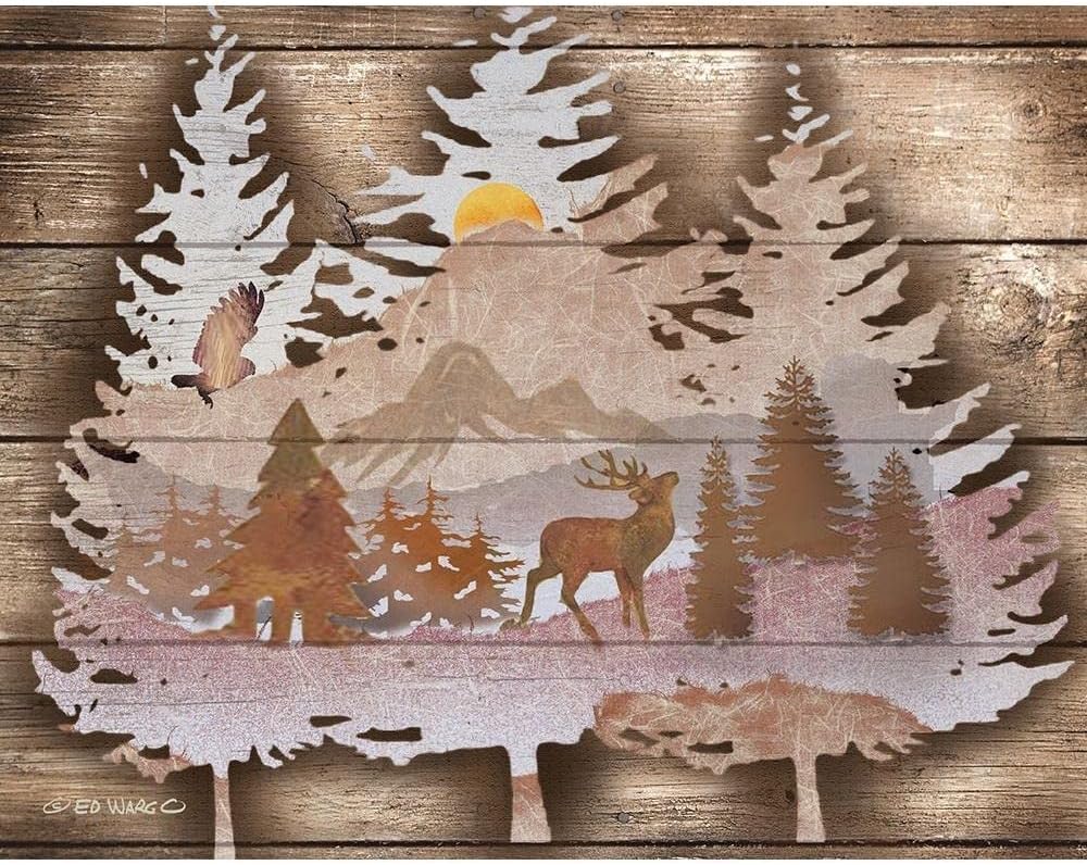 ArtDirect Great Outdoors I 18×15 Gallery Wrapped Canvas Museum Art by Wargo, Ed