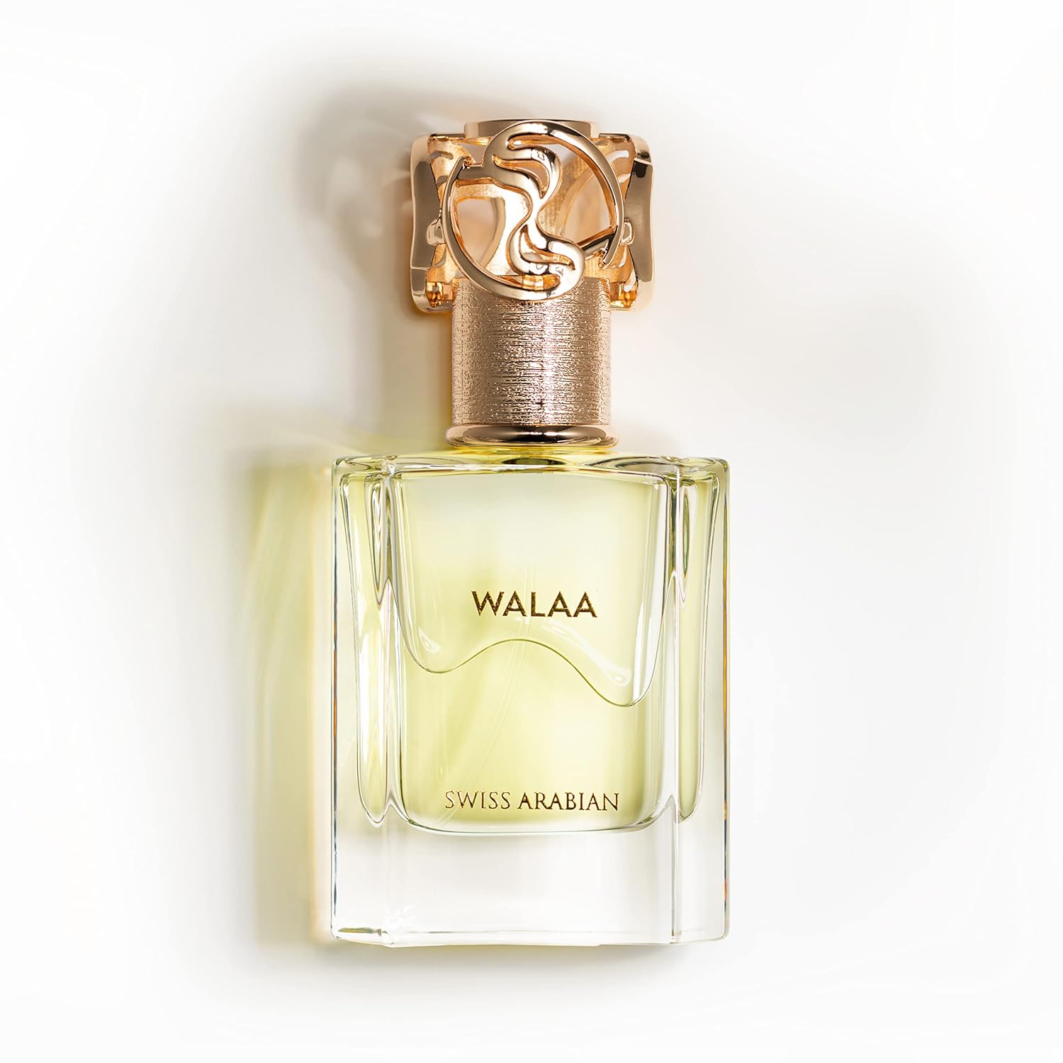 Swiss Arabian Walaa  Producto de lujo de Dubai  Notas de cítricos y acordes frescos  Fragancia personal EDP de larga duración y adictiva  Un aroma