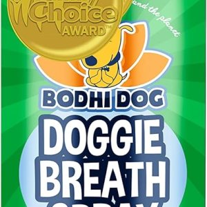 Bodhi Dog Ambientador natural grande para perros, dientes y encÃas saludables, ideal para limpieza de sarro, removedor de placa y cuidado bucal Bodhi Dog Ambientador natural grande para perros, dientes y encÃas saludables, ideal para limpieza de sarro, removedor de placa y cuidado bucal