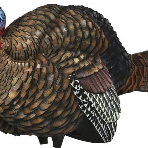 Avian-X Señuelo de pavo de Jake de medio puntal LCD  Señuelo de caza plegable realista duradero con bolsa de transporte y estaca, AVX8012 Avian-X Señuelo de pavo de Jake de medio puntal LCD  Señuelo de caza plegable realista duradero con bolsa de transporte y estaca, AVX8012