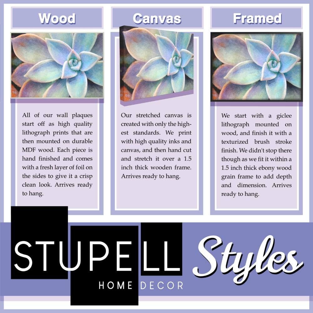 Stupell Industries Delicadas rosas rosadas y arte icónico para pared, estilo de moda, 11 x 14, color blanco
