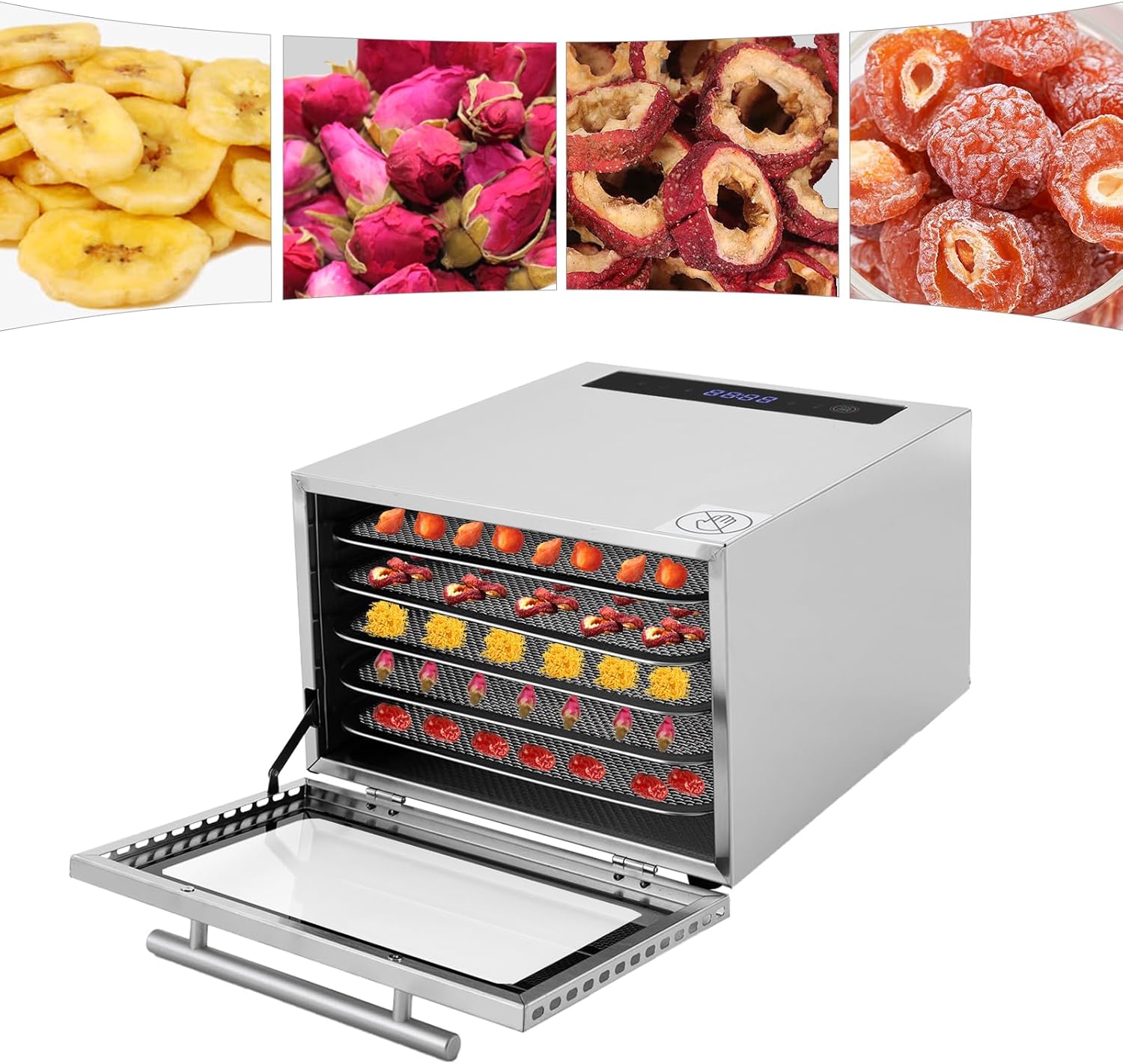 Máquina deshidratadora de alimentos con 5 bandejas, secadora de alimentos con temporizador ajustable de acero inoxidable, control de temperatura