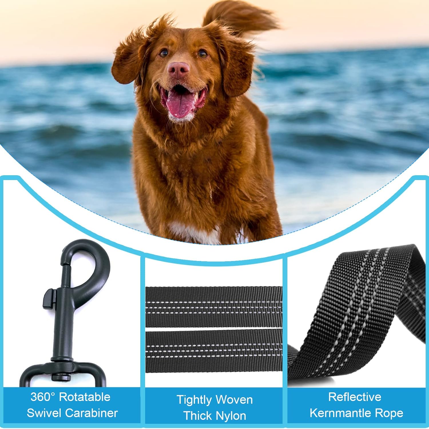 Divisor de dos correas para perros con correa de nailon de 5 pies