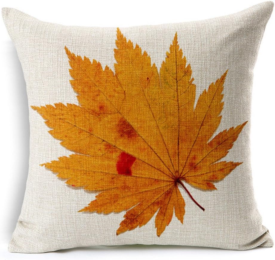 All Smiles Juego de 4 fundas de almohada decorativas de otoño de 20 x 20 pulgadas para el hogar, Acción de Gracias, otoño, decoración de cocina,