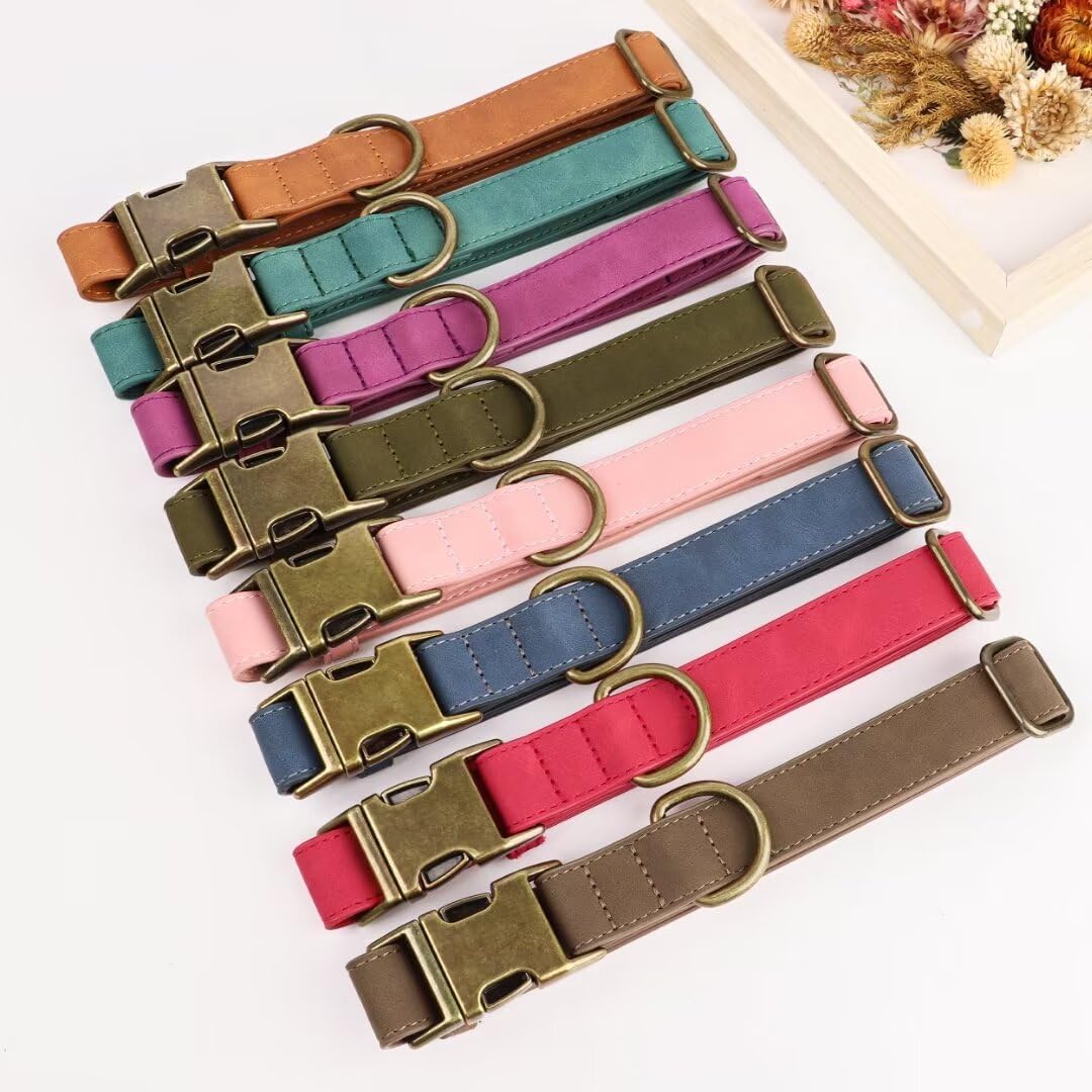 Didog Collar de cuero suave para perro, collares de perro duraderos y resistentes con hebilla metálica de liberación rápida, collar de cuero