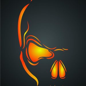 Plantilla de calavera malvada de Halloween, 6 x 13 pulgadas de largo, plantillas decorativas de calavera de media cabeza aterradora para plantilla Plantilla de calavera malvada de Halloween, 6 x 13 pulgadas de largo, plantillas decorativas de calavera de media cabeza aterradora para plantilla