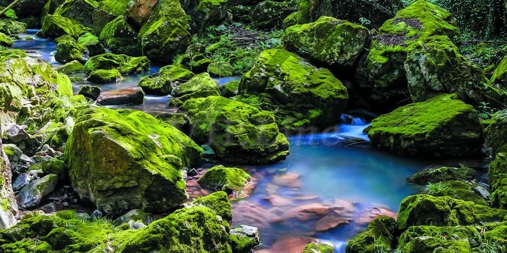 Póster de fondo de acuario de piedra de musgo verde con fondo de acuario, decoración de fondo de pecera (72 x 20 pulgadas72.0 x 20.1 in)