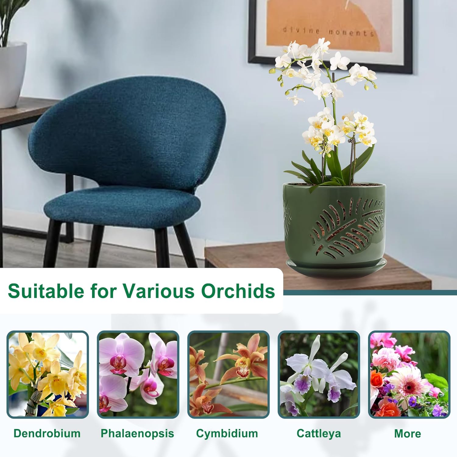 Macetas de orquídeas de cerámica, macetas de orquídeas de 6+5 pulgadas con agujeros, macetas de orquídeas para trasplantar, macetas de circulación
