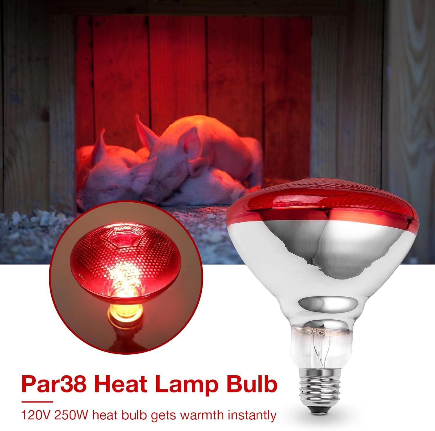 Lámpara de calor rojo infrarrojo PAR38250 vatios bombilla de vidrio para servicio de alimentos, bombilla de criador, pollos, mascotas, baño, uso de