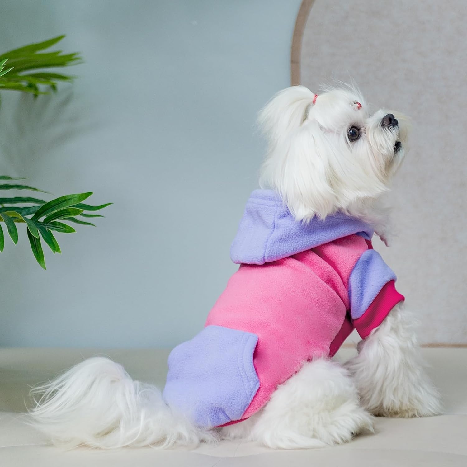 PUPTECK Sudadera de forro polar con capucha para perro, ropa suave y cálida con capucha para perros pequeños y medianos, para otoño e invierno,