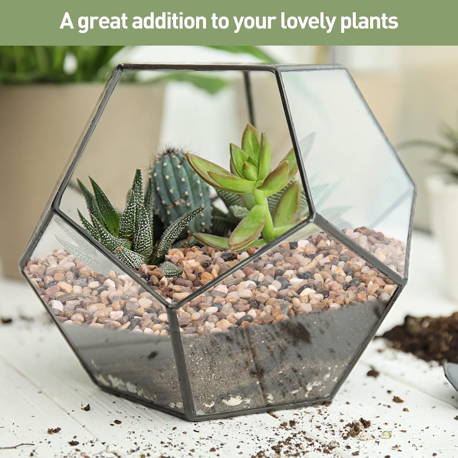 GASPRO Grava de guisantes para acuario, pecera, 5 libras, arena natural de guijarros de 15 pulgadas para plantas, suculentas, cactus, textura mate,