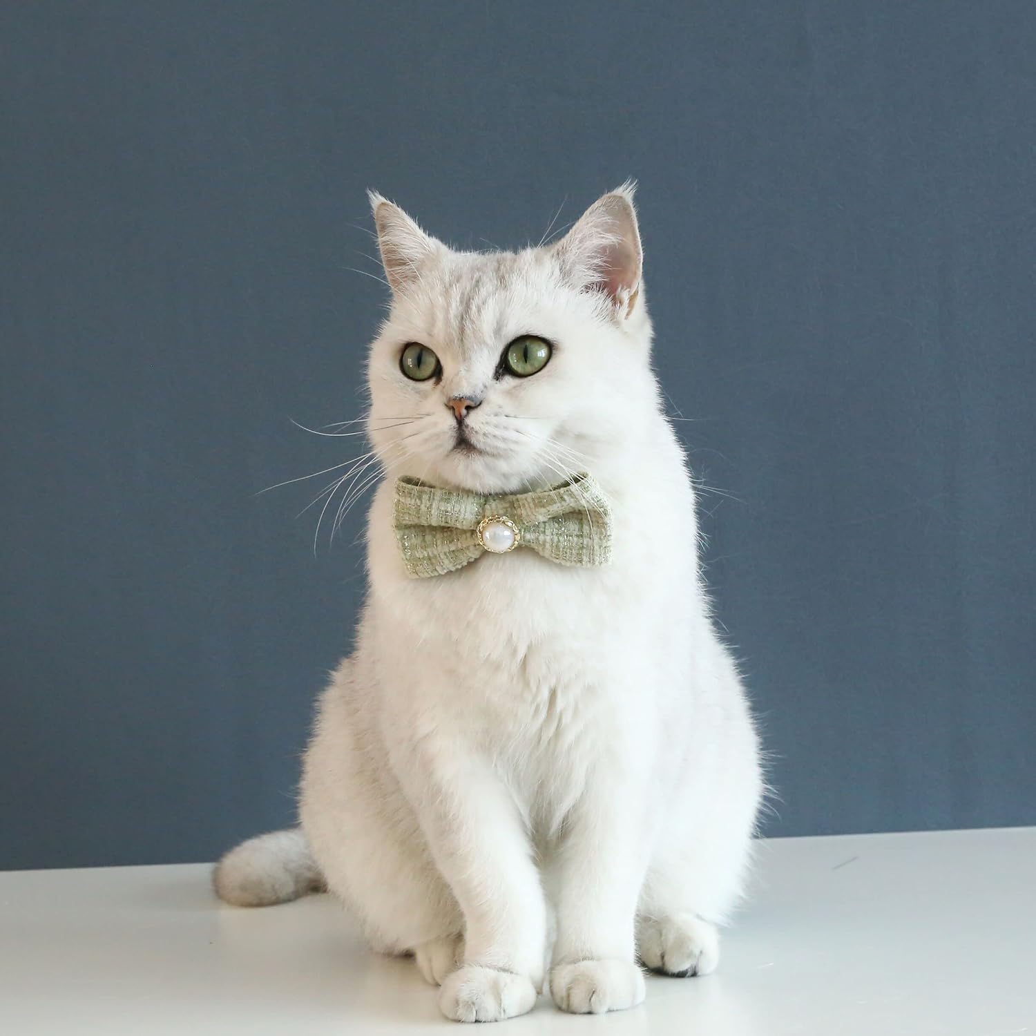 Collar de pajarita de perlas trenzadas para mascotas, estilo vintage, para gato, perro, ajustable, antiasfixia, seguridad para gatos (verde)
