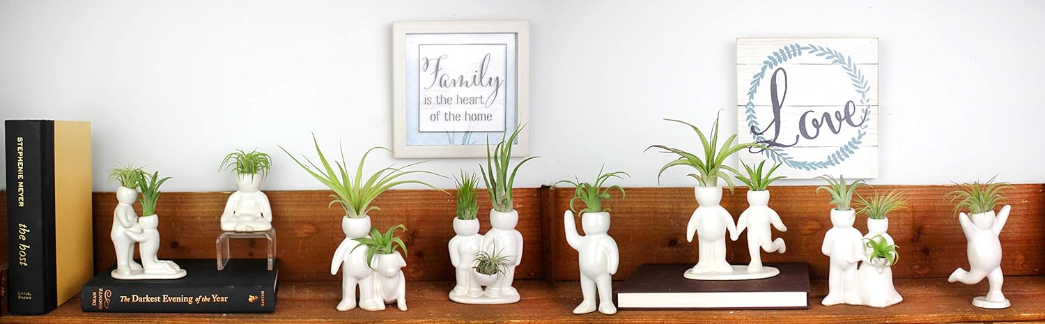 Maceta de cerámica blanca de 3.25 pulgadas con forma de persona con planta de aire Tillandsia viva, plantas de aire de interior en maceta para