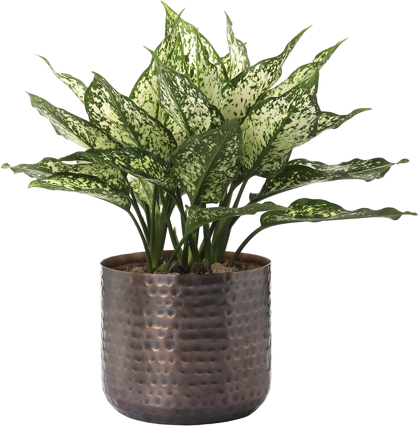 MyGift Jarrón de metal vintage de tono cobre de 6 pulgadas, maceta con textura martillada, contenedor cilíndrico para plantas suculentas de