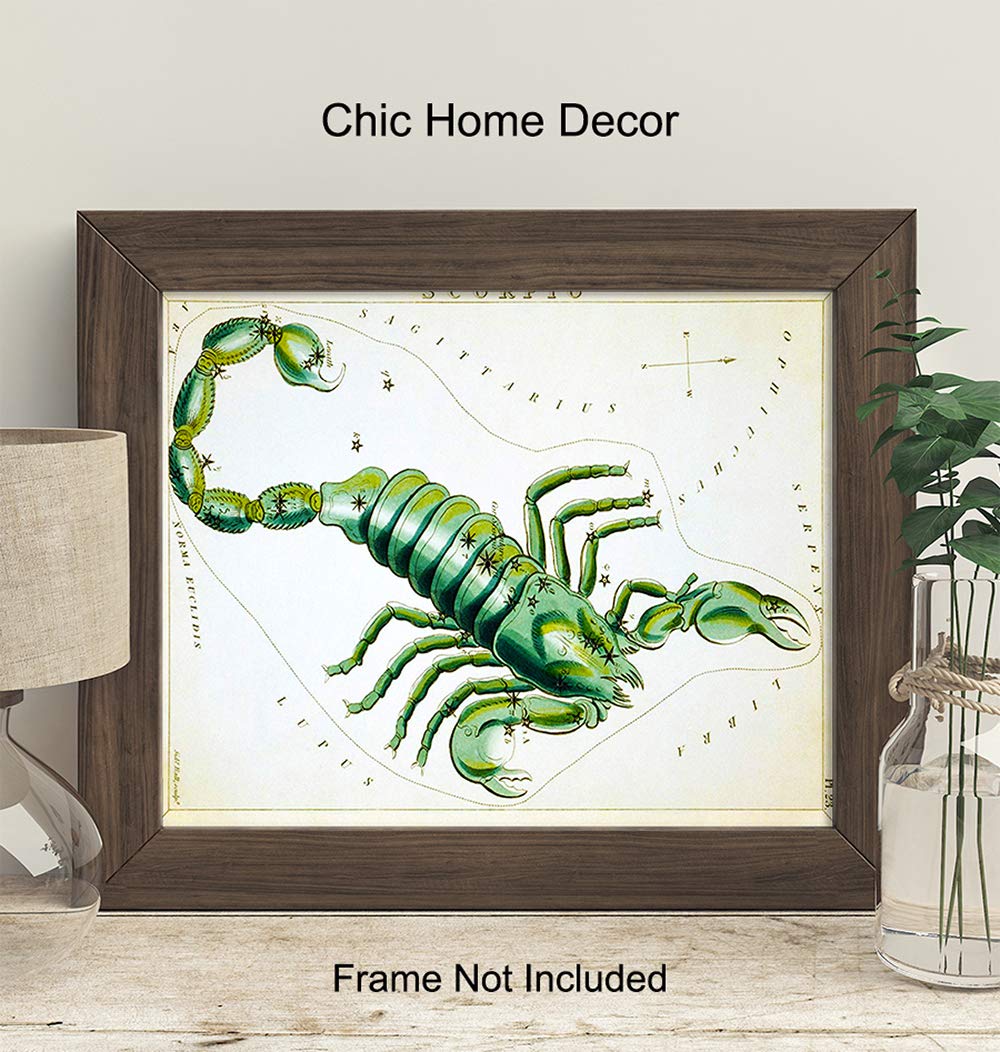 Vintage Scorpio Astrological Zodiac Chart – Great Gift and Chic Home Decor – Stars – Ready to Frame (8×10) Photo