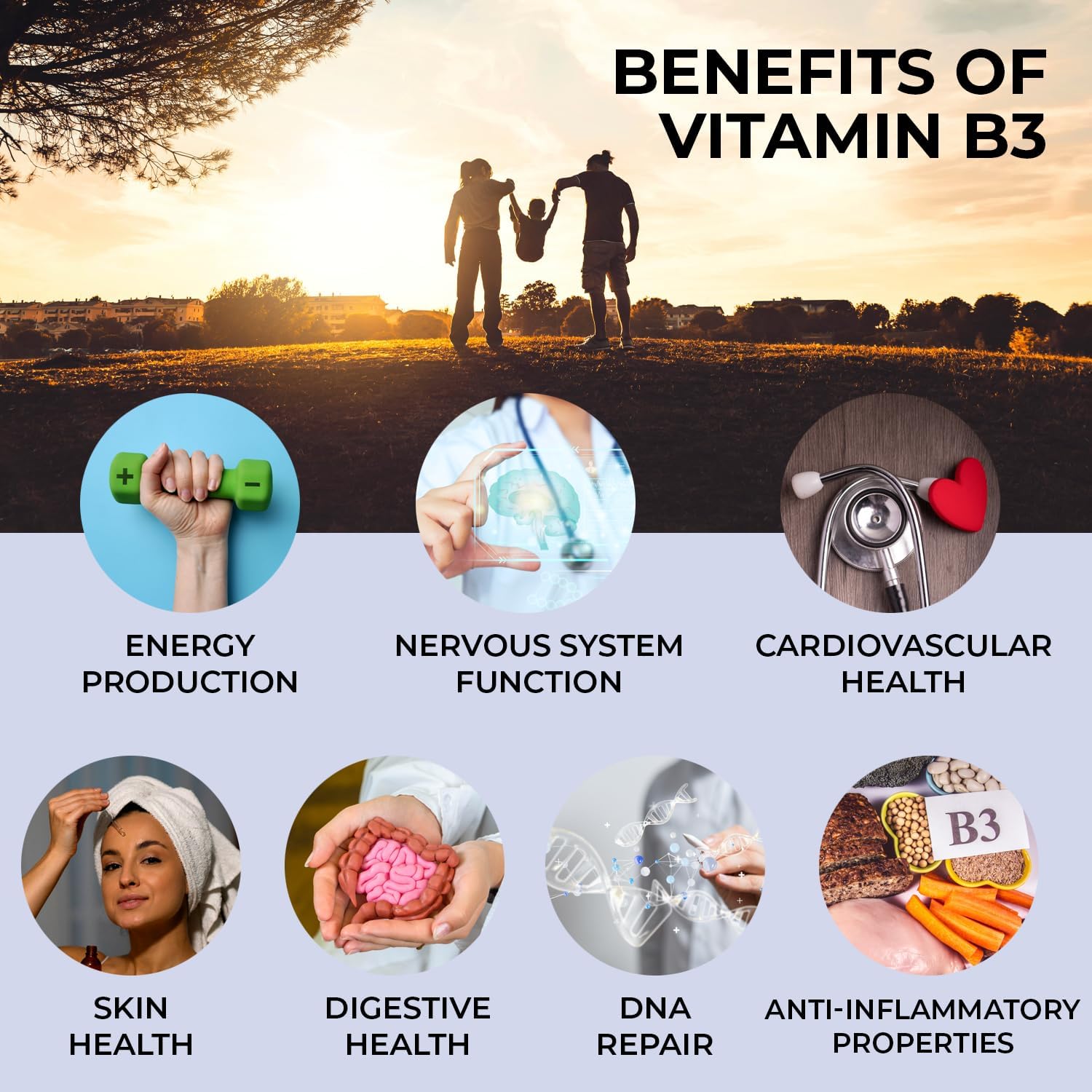 Sapir Naturals Gotas líquidas de vitamina B3 de 2 onzas, suplemento de niacina B3, sabor a frambuesa, fabricado en Estados Unidos