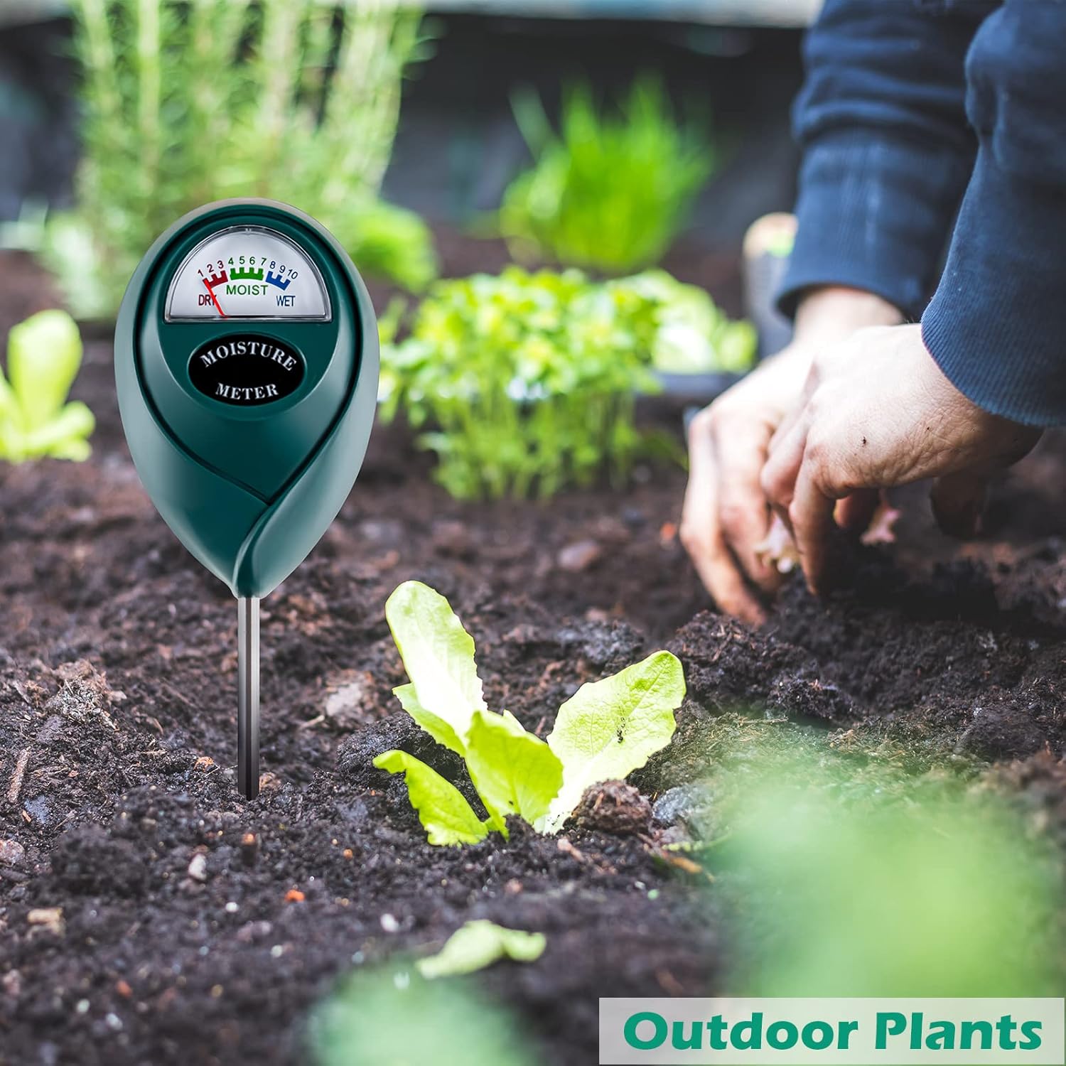 Medidor de humedad del suelo para plantas de interior, medidor de agua para plantas, medidor de humedad de plantas de interior y plantas de