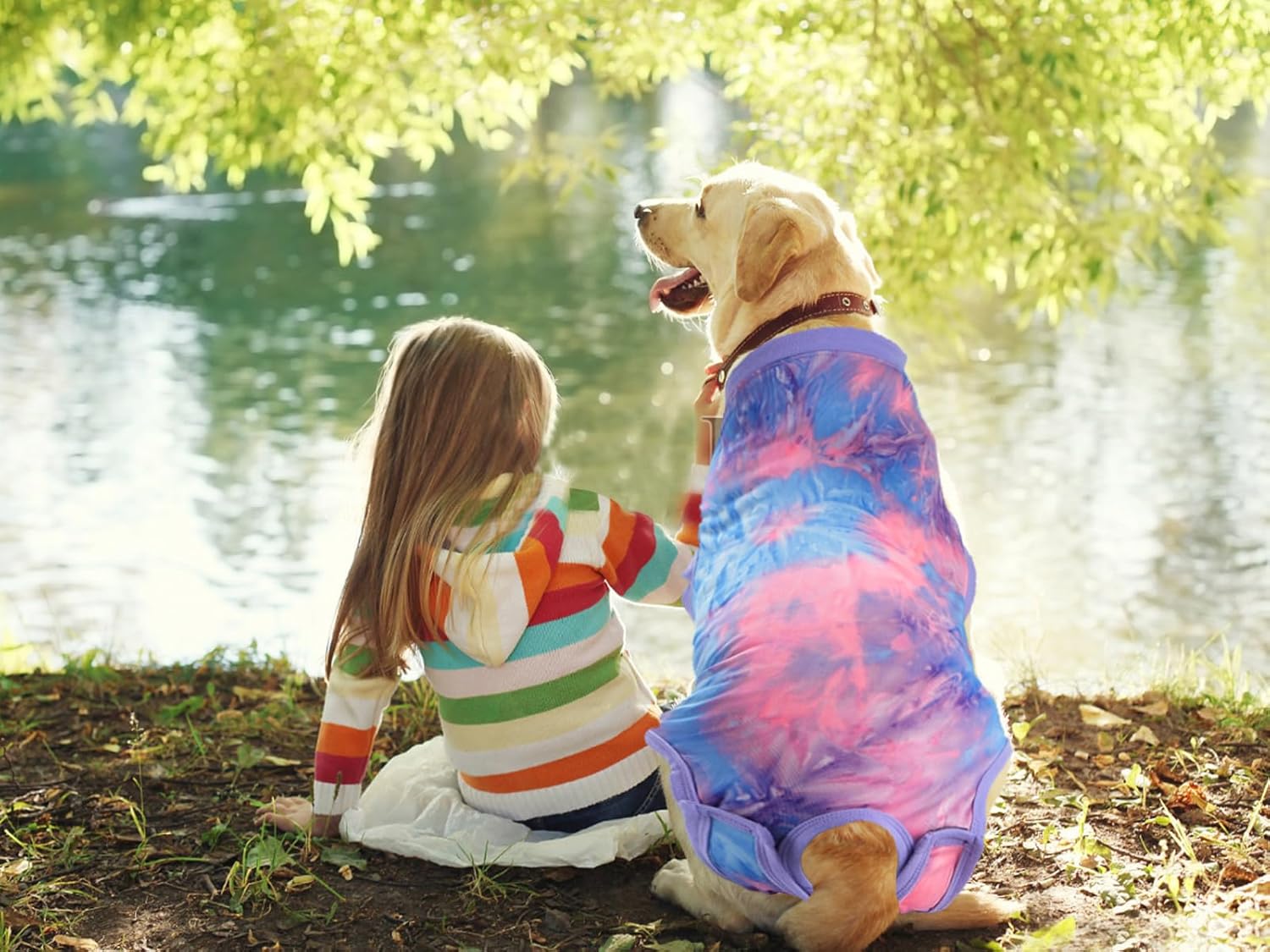 Traje de recuperación quirúrgica para perro, después de esterilización, heridas abdominales postquirúrgicas, traje para perros, hembra, macho,