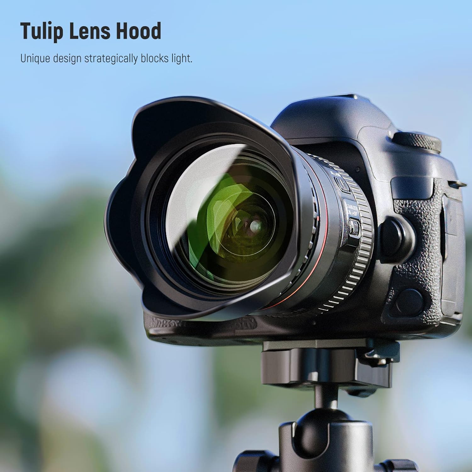 NEEWER Paquete de filtros ND de 3.228 in y accesorios para lentes, ND2 ND4 ND8 UV FLD CPL Kit de filtro con tapa de lente