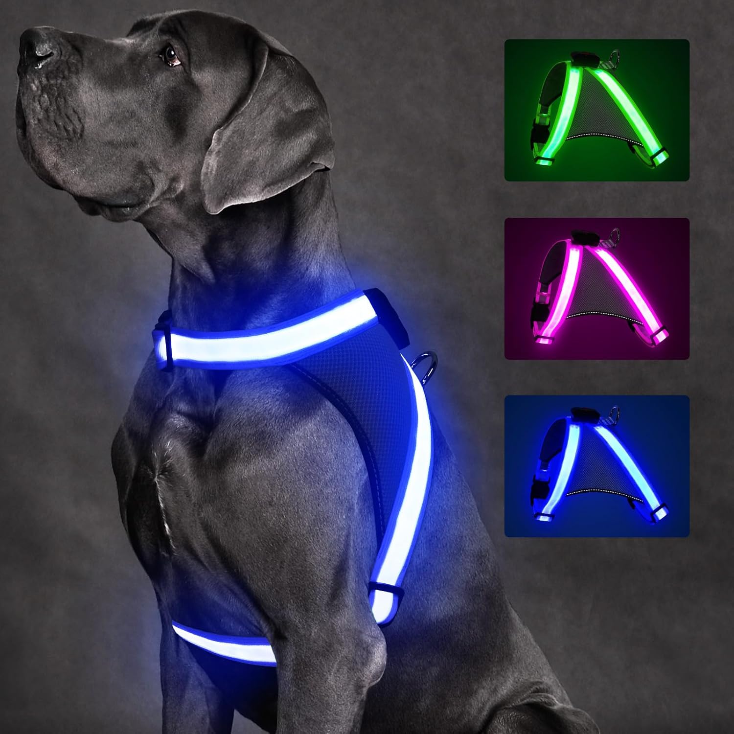ChalkLit Arnés para perro con luces LED, sin tirones, que brilla en la oscuridad para caminar por la noche, chaleco de seguridad con luz recargable