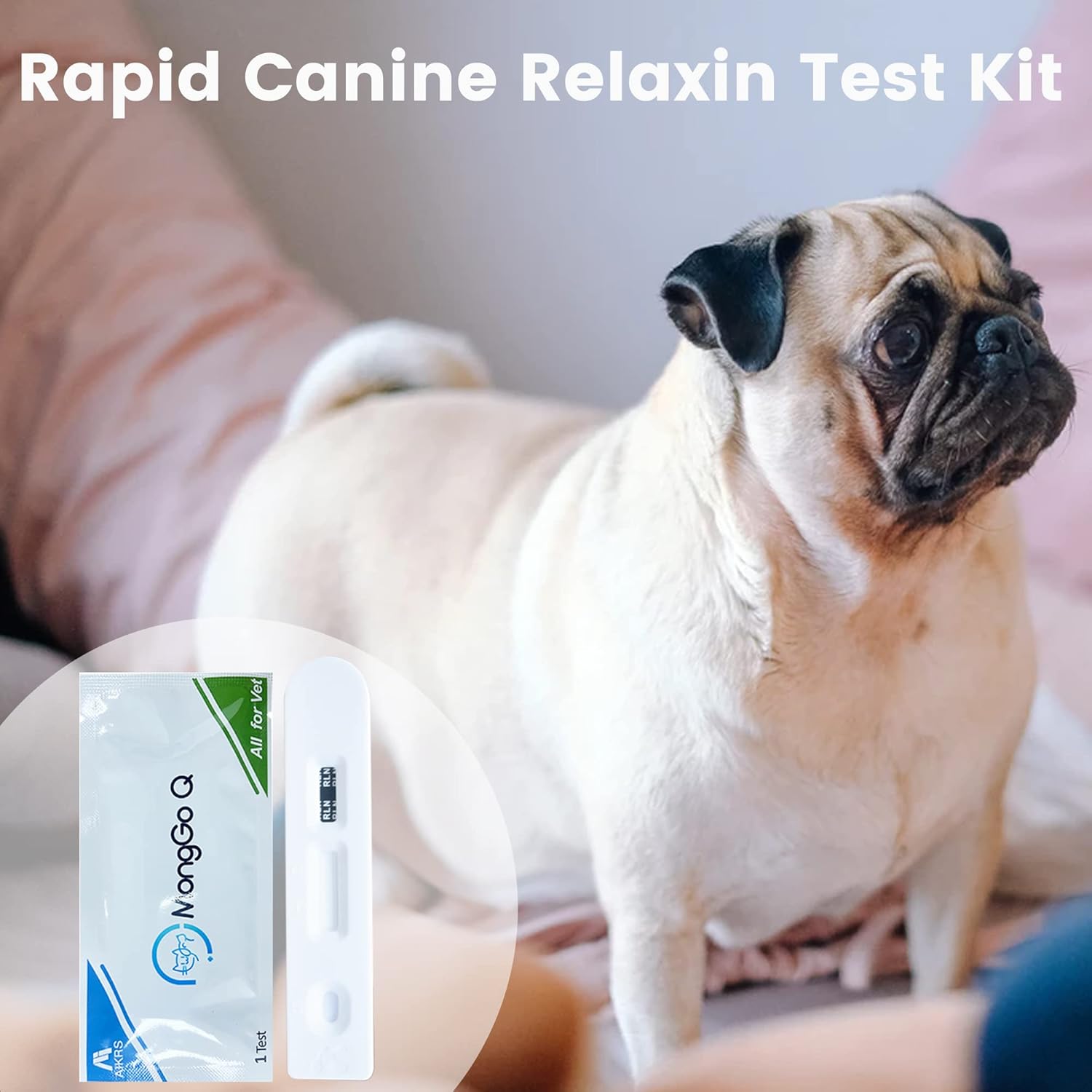 MONGGO Q Kit de prueba de embarazo para perros, 10 piezas, prueba rápida de embarazo para perros, suministros de tiras de prueba para embarazadas