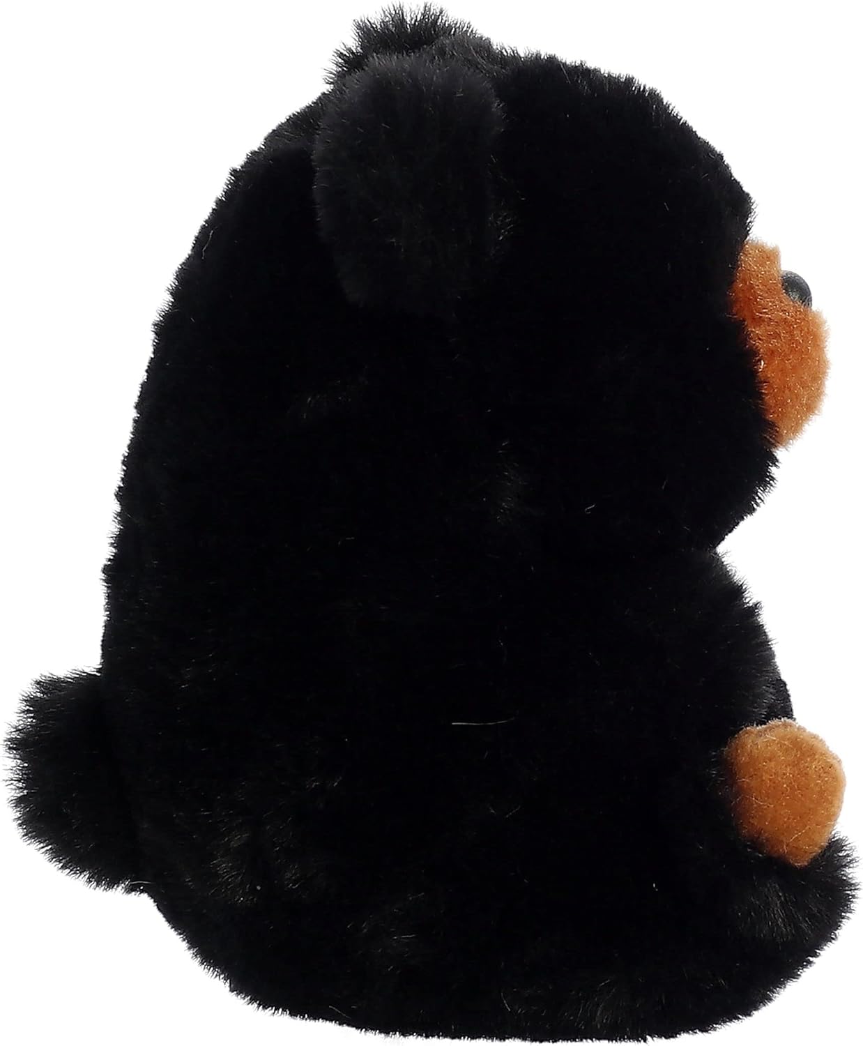 Aurora Round Rolly Pet Cuddles Black Bear – Adorables compañeros – Diversión sobre la marcha, color negro, 5 pulgadas