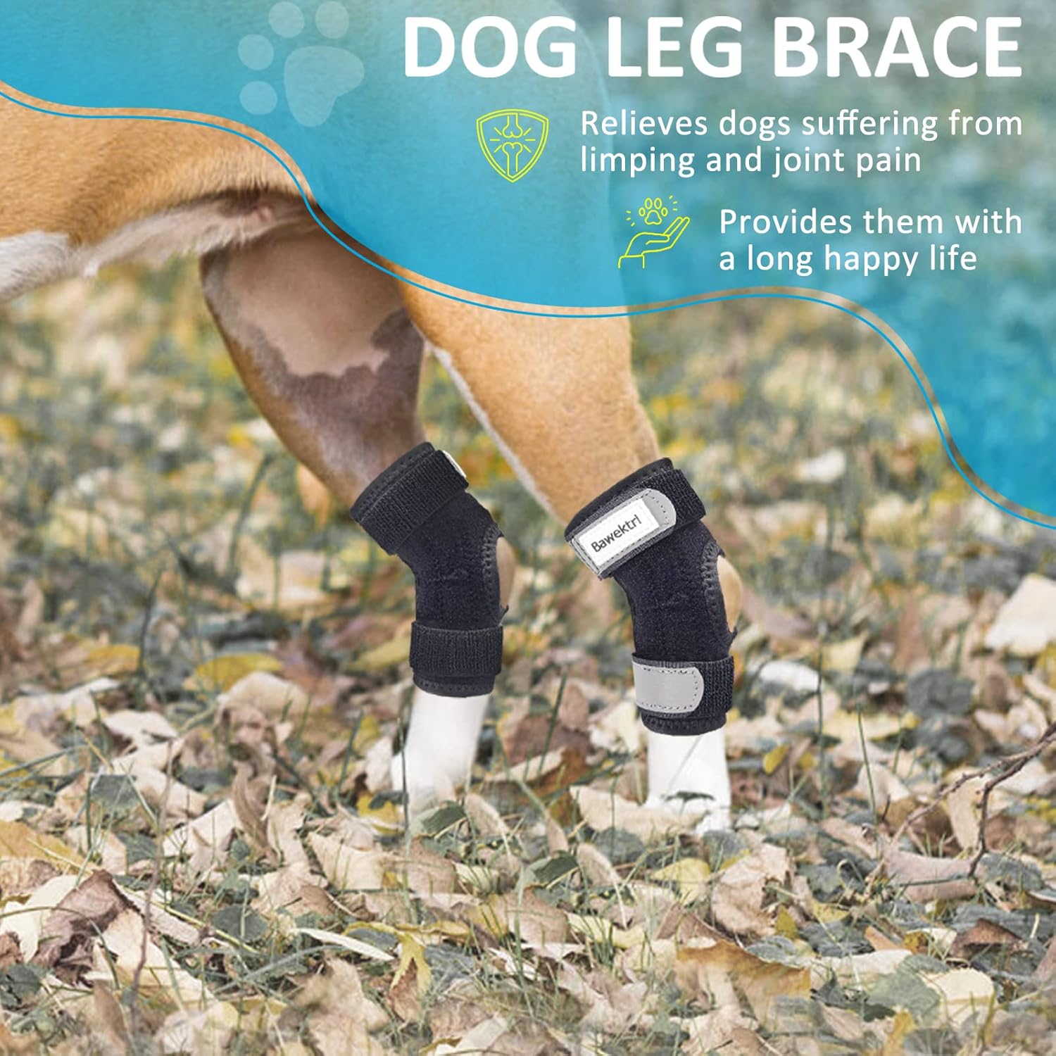 Soportes para patas de perro para patas traseras, soporte para patas traseras con tiras de metal, correas reflectantes de seguridad para piernas