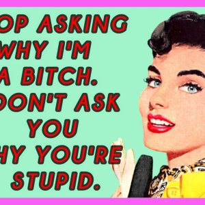 Deja de preguntar por qué soy una perra. I Don’t Ask Why You’re Stupid – Imán para nevera de 2 x 3 pulgadas, regalo de imagen vintage, humor Deja de preguntar por qué soy una perra. I Don’t Ask Why You’re Stupid – Imán para nevera de 2 x 3 pulgadas, regalo de imagen vintage, humor