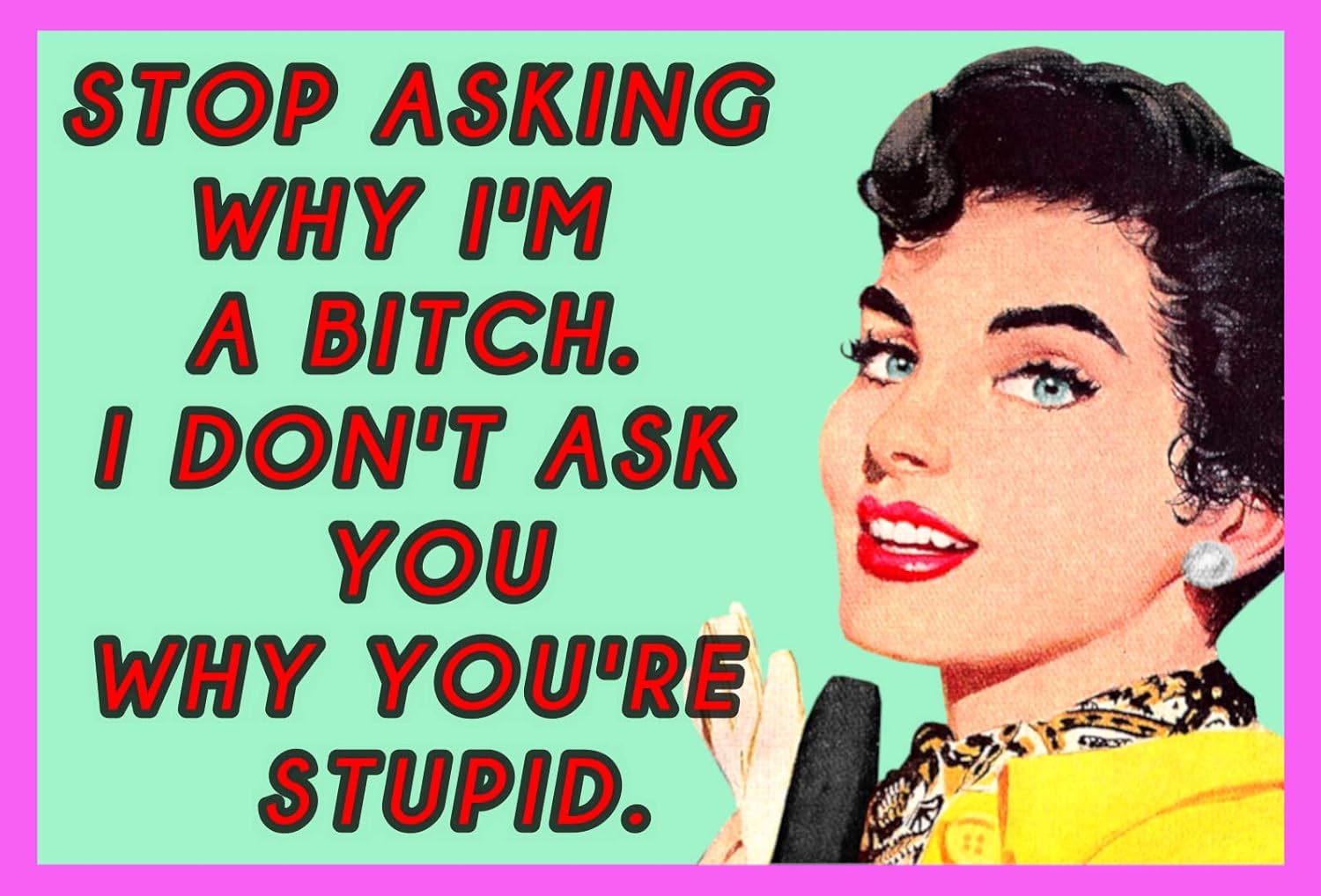 Deja de preguntar por qué soy una perra. I Don’t Ask Why You’re Stupid – Imán para nevera de 2 x 3 pulgadas, regalo de imagen vintage, humor