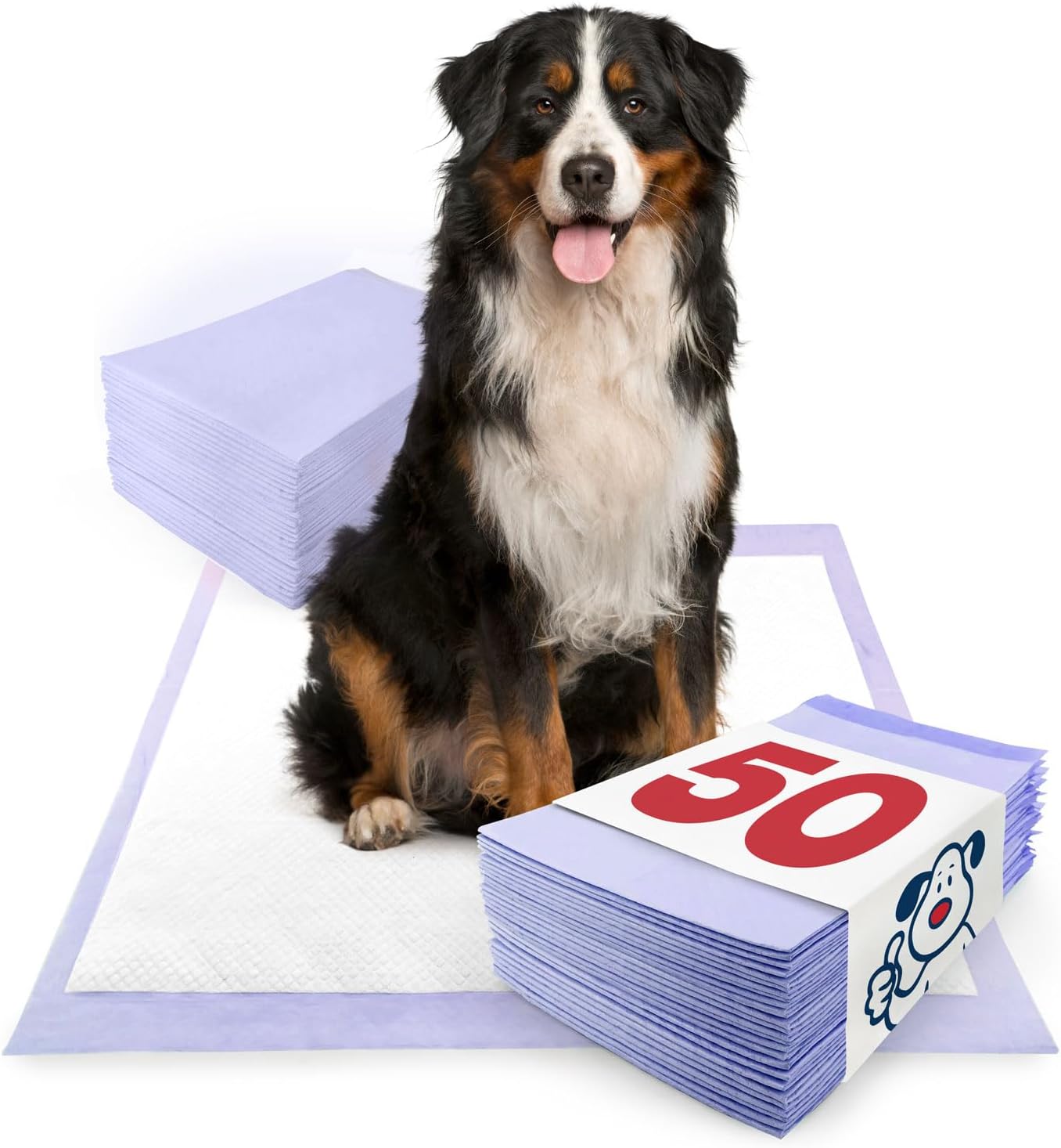 ValuePad Plus – Almohadillas para cachorros, extra grandes de 28 x 36 pulgadas, con aroma a lavanda, 50 unidades, almohadillas de orina de primera