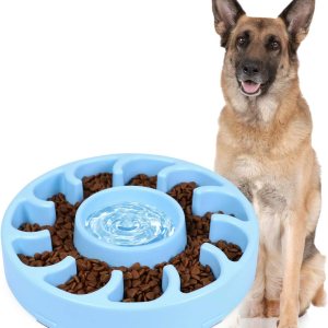 JASGOOD Tazón lento para perros grandes, comedero lento antigolpe para perros que detiene la hinchazón, cuenco grande para mascotas de comer lento JASGOOD Tazón lento para perros grandes, comedero lento antigolpe para perros que detiene la hinchazón, cuenco grande para mascotas de comer lento