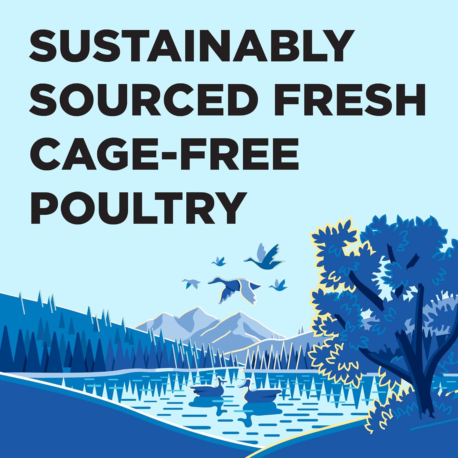 BIXBI Liberty – Alimento húmedo enlatado sin granos, receta de fiesta de aves de caza, latas de 12.5 onzas (paquete de 12)