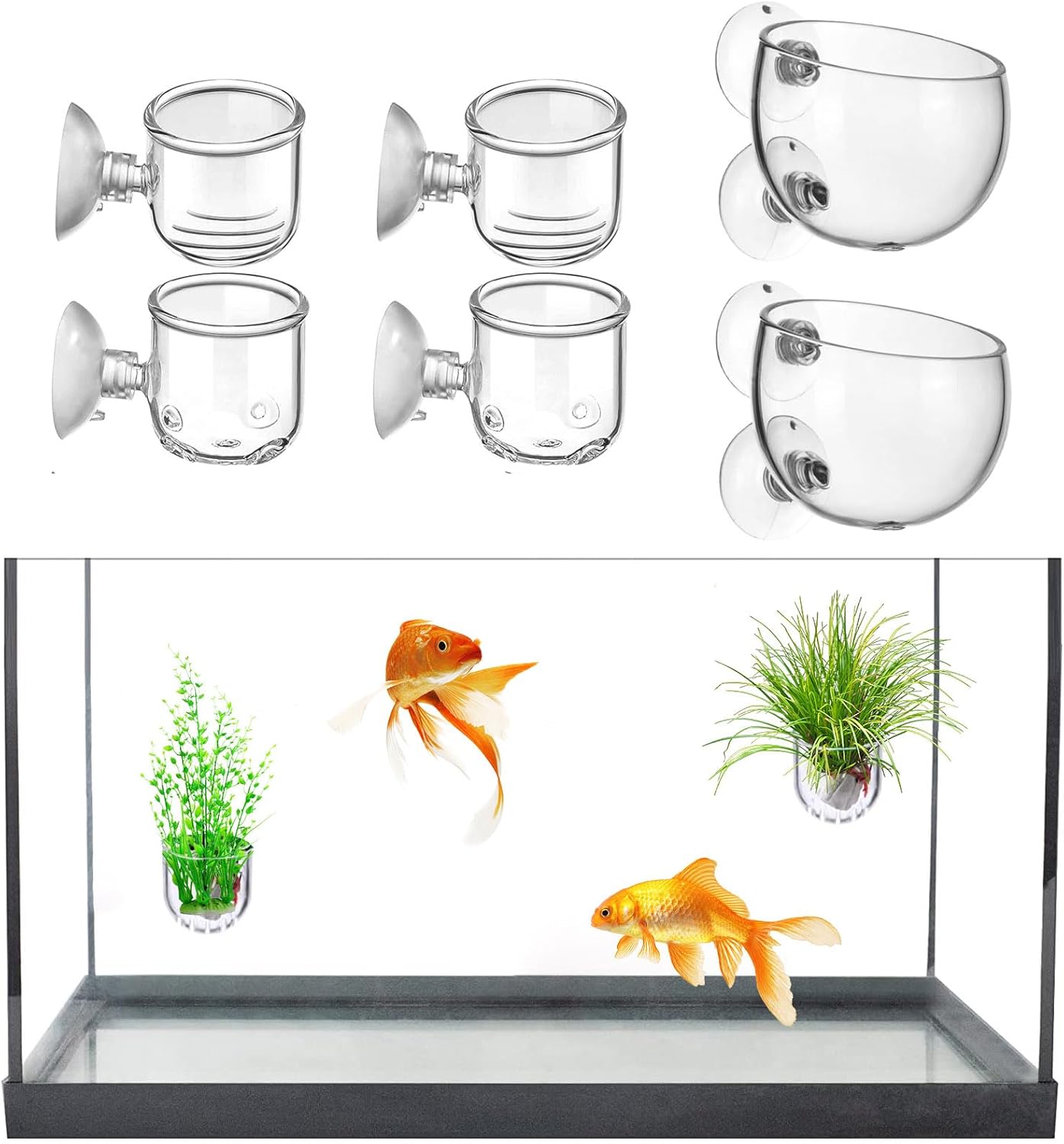 LIDSCURA Macetas acuáticas con agujero de cristal para plantas acuarias, 3 estilos, maceta acuática con ventosas, decoración de acuario para