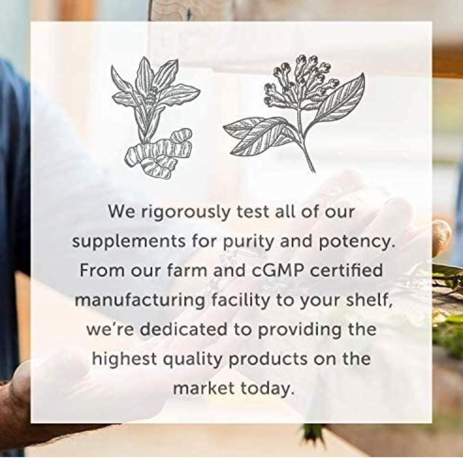 Global Healing Oxy-Powder - Limpieza de colon y desintoxicación, limpiador de colon y desintoxicación para pérdida de peso, alivio del estreñimiento - Imagen 6